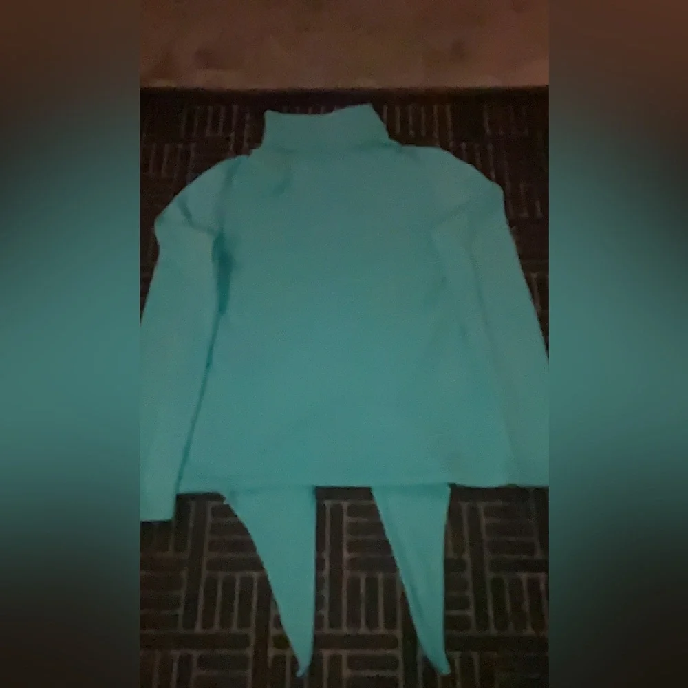Women Talbots turtleneck merino wool overhead long sleeve sweater turquoise blue